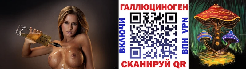 Псилоцибиновые грибы Psilocybe  Чаплыгин 